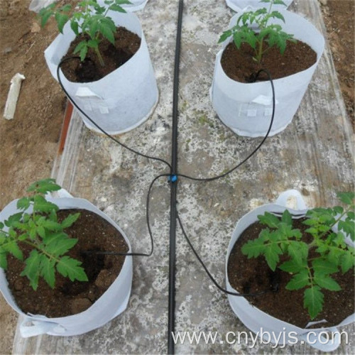 Branch pipe drip irrigator dripper